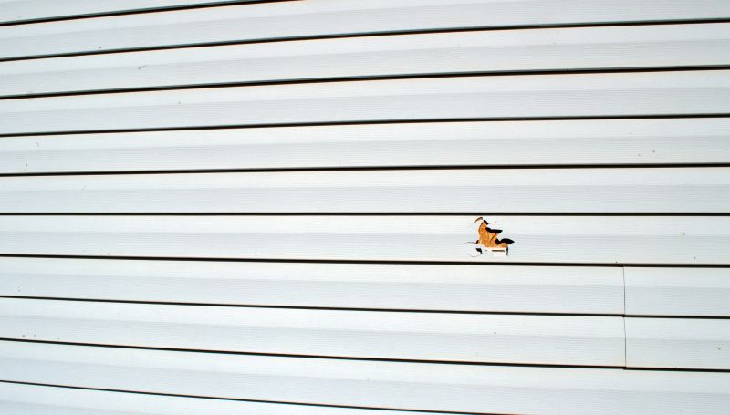 Completed Siding Projects